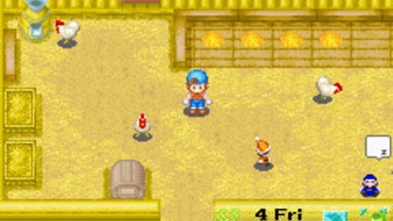 Screenshot for Harvest Moon: Friends of Mineral Town