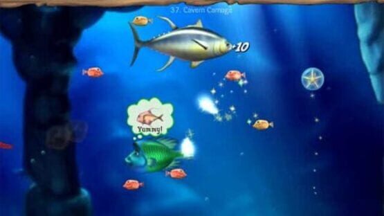Screenshot for Feeding Frenzy 2: Shipwreck Showdown