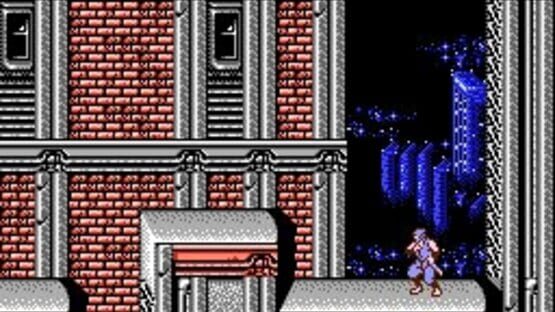Screenshot for Ninja Gaiden II: The Dark Sword of Chaos