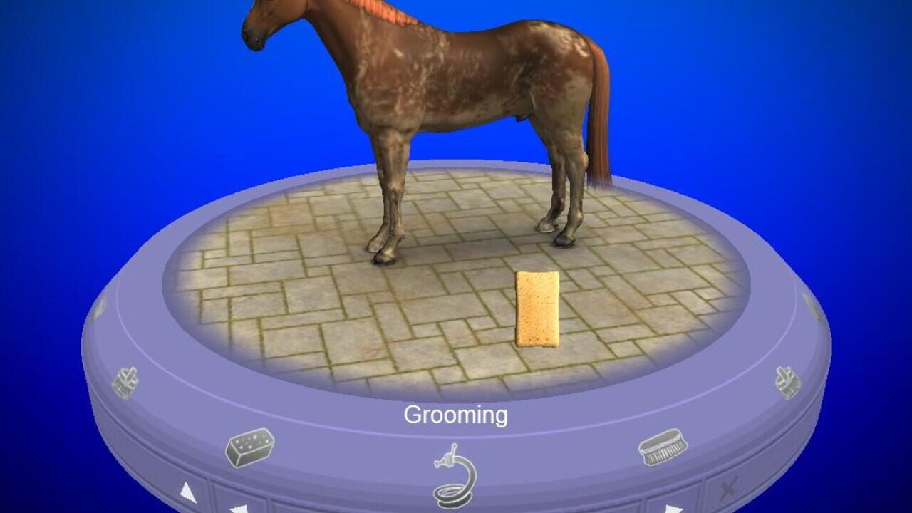 Screenshot for My Horse & Me