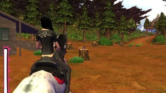 Screenshot for Horse Life 4