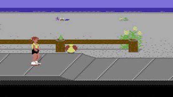 Screenshot for California Games