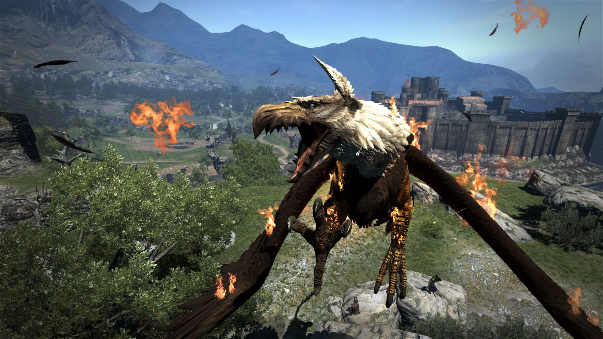 Screenshot for Dragon's Dogma: Dark Arisen