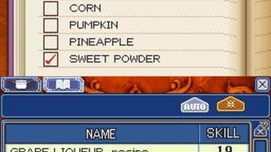 Screenshot for Rune Factory 2: A Fantasy Harvest Moon