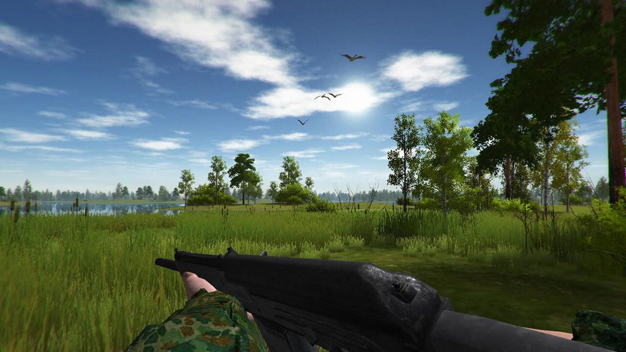 Screenshot for Duck Hunting
