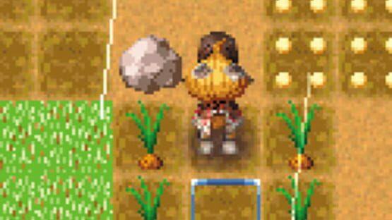 Screenshot for Rune Factory: A Fantasy Harvest Moon