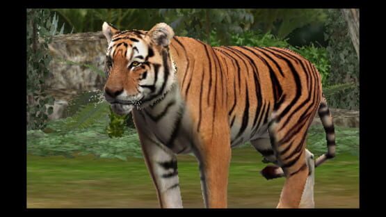 Screenshot for Zoo Resort 3D