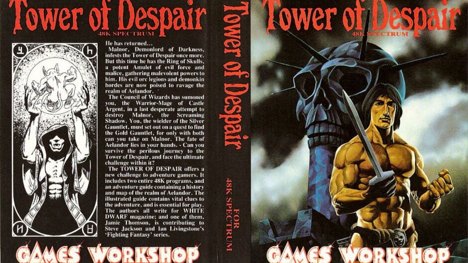 Screenshot for Tower of Despair