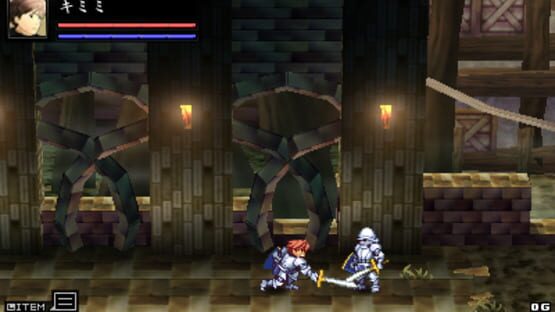 Screenshot for Swords & Darkness