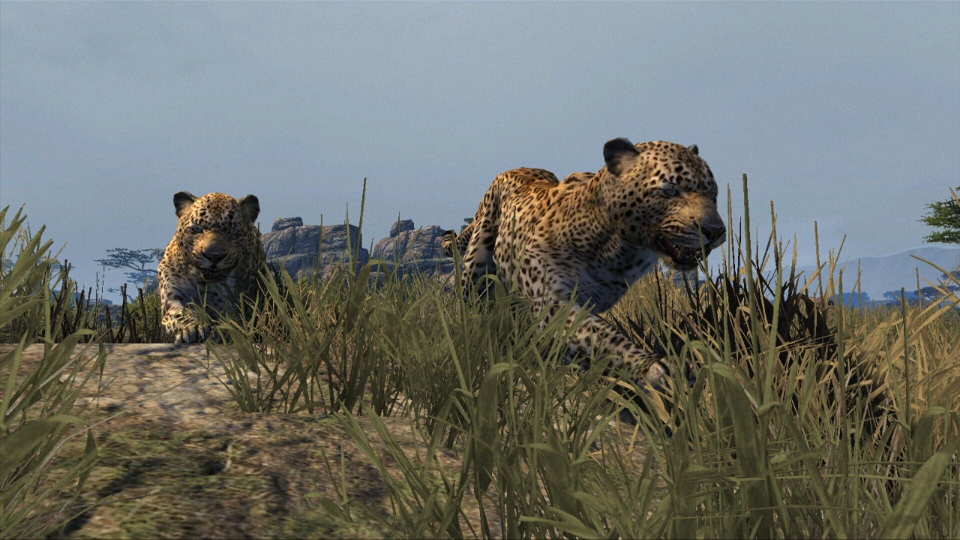 Screenshot for Cabela's Dangerous Hunts 2013