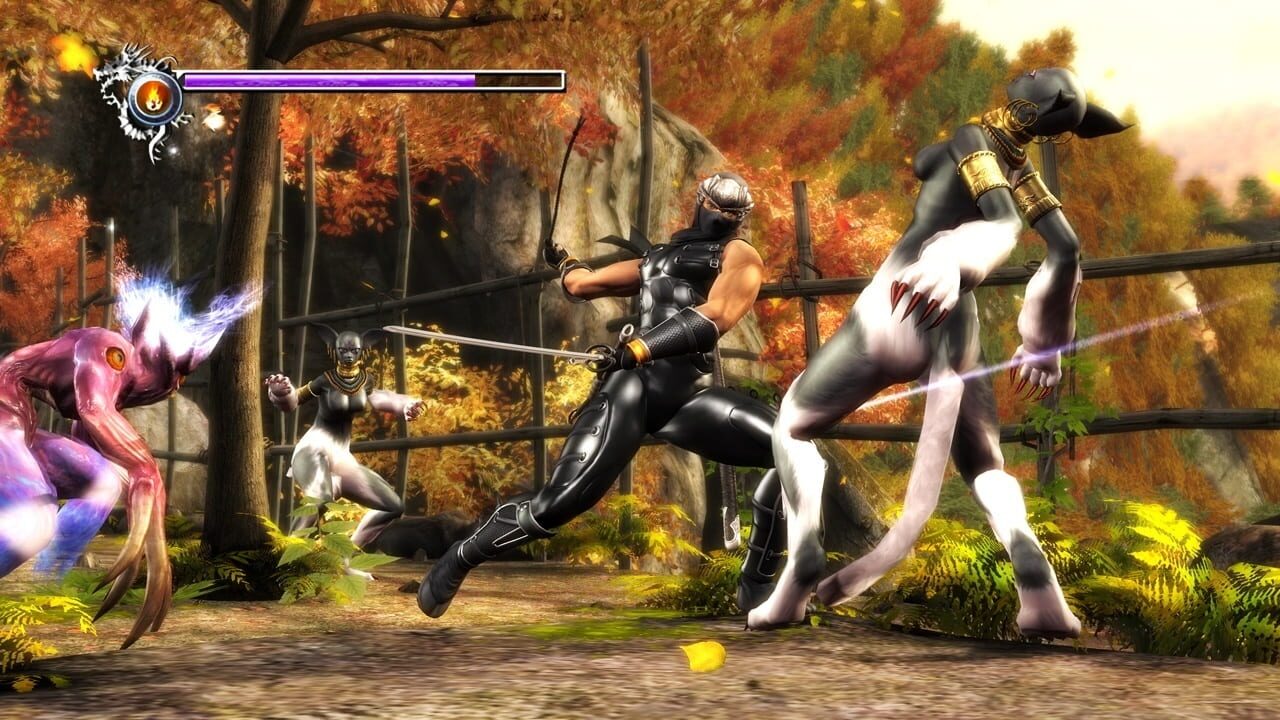 Screenshot for Ninja Gaiden Sigma