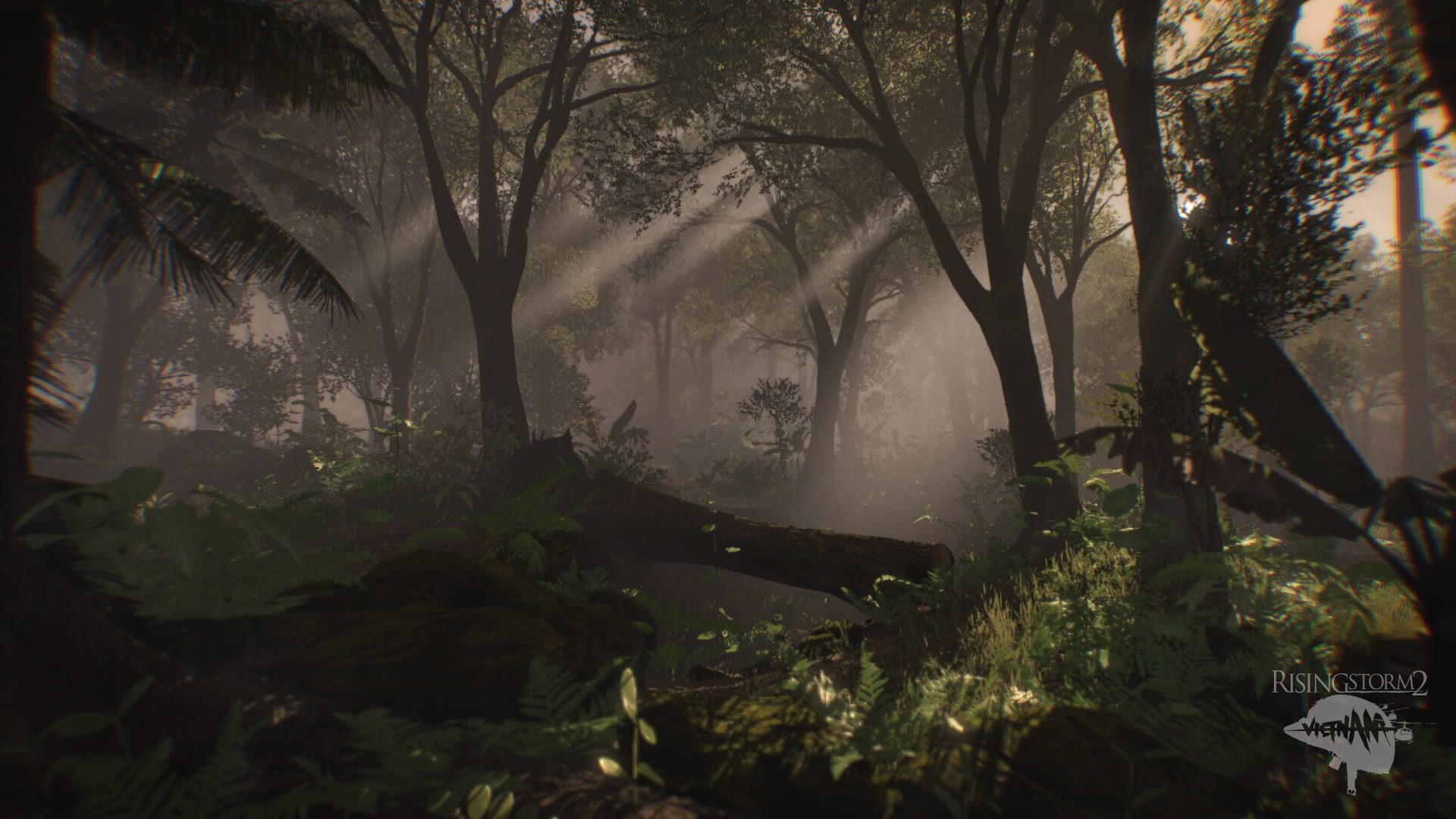 Screenshot for Rising Storm 2: Vietnam