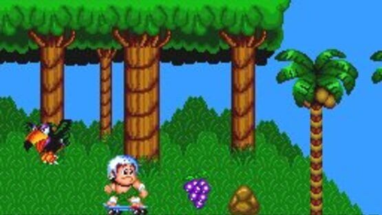 Screenshot for New Adventure Island
