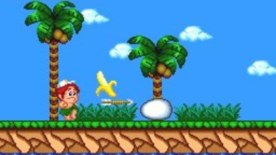 Screenshot for New Adventure Island