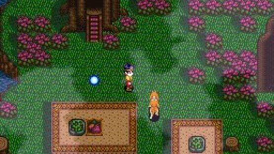 Screenshot for Soul Blazer