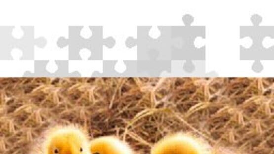Screenshot for Puzzle to Go Baby Animals