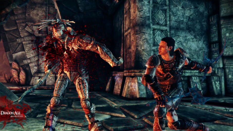 Screenshot for Dragon Age: Origins - Awakening