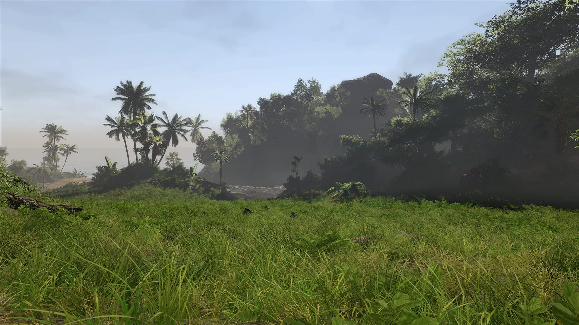 Screenshot for Risen 2: Dark Waters