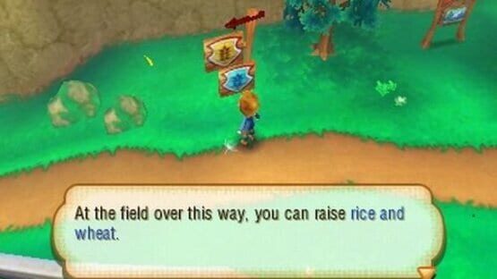 Screenshot for Story of Seasons