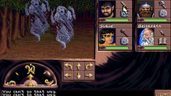 Screenshot for Eye of the Beholder III: Assault on Myth Drannor