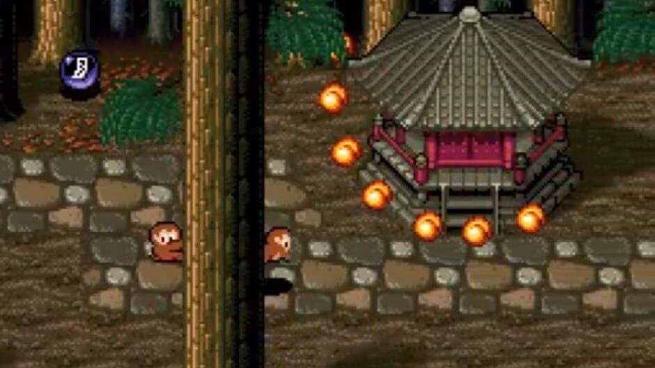 Screenshot for Pocky & Rocky