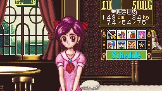 Screenshot for Princess Maker: Legend of Another World