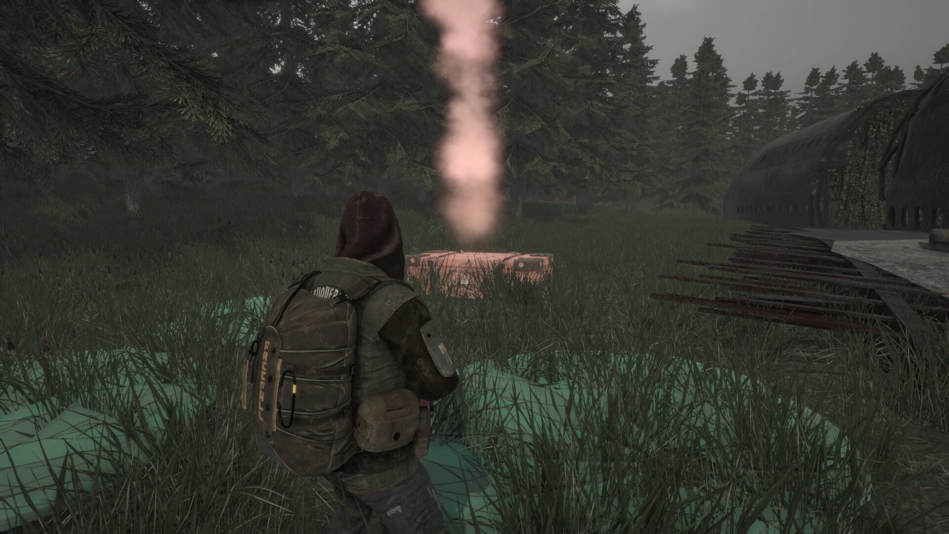 Screenshot for Last Survivor