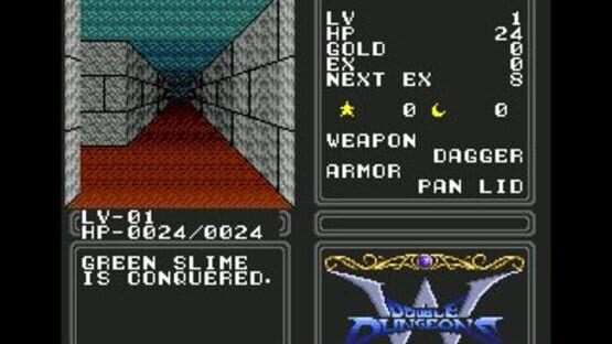 Screenshot for Double Dungeons