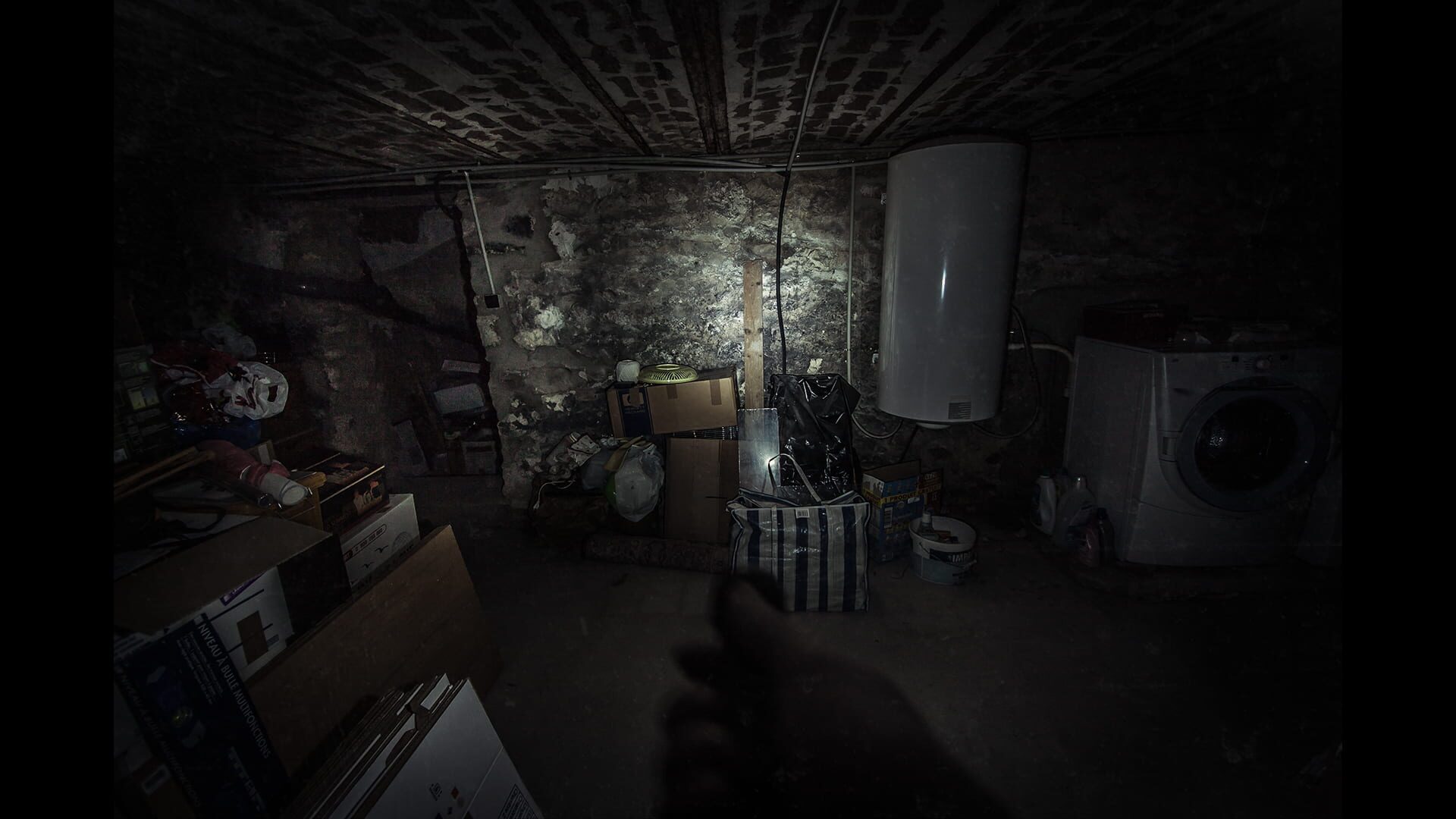 Screenshot for The Fan