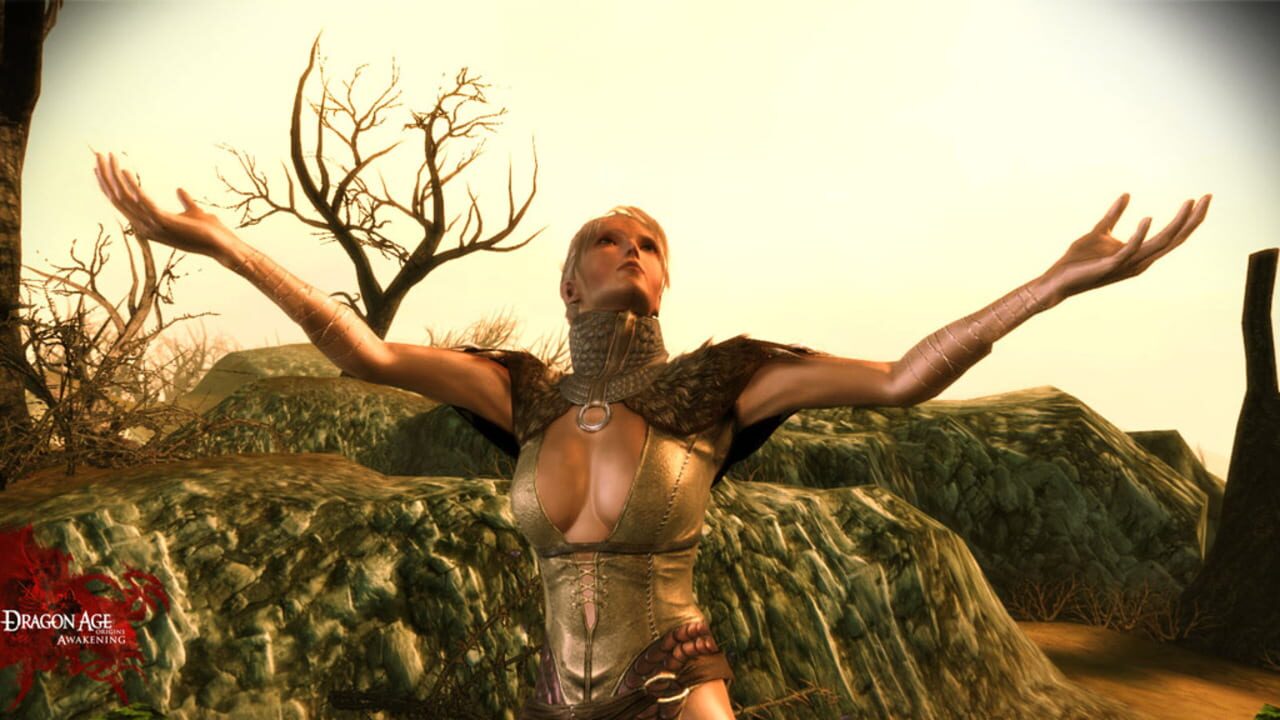 Screenshot for Dragon Age: Origins - Awakening