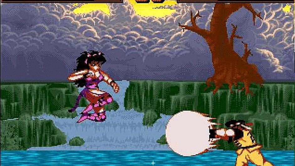 Screenshot for Shadow Fighter