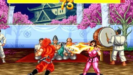 Screenshot for World Heroes 2