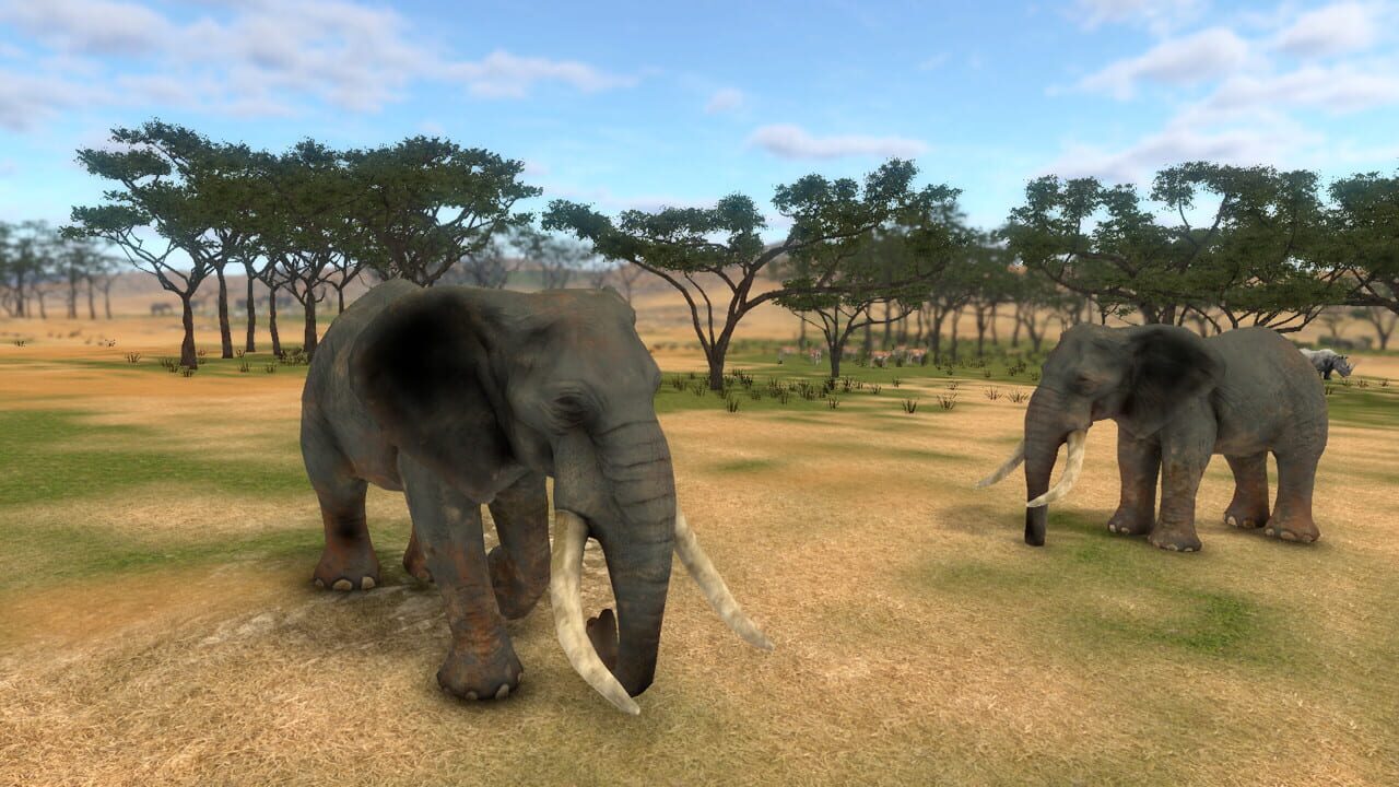 Screenshot for Savanna Shot VR