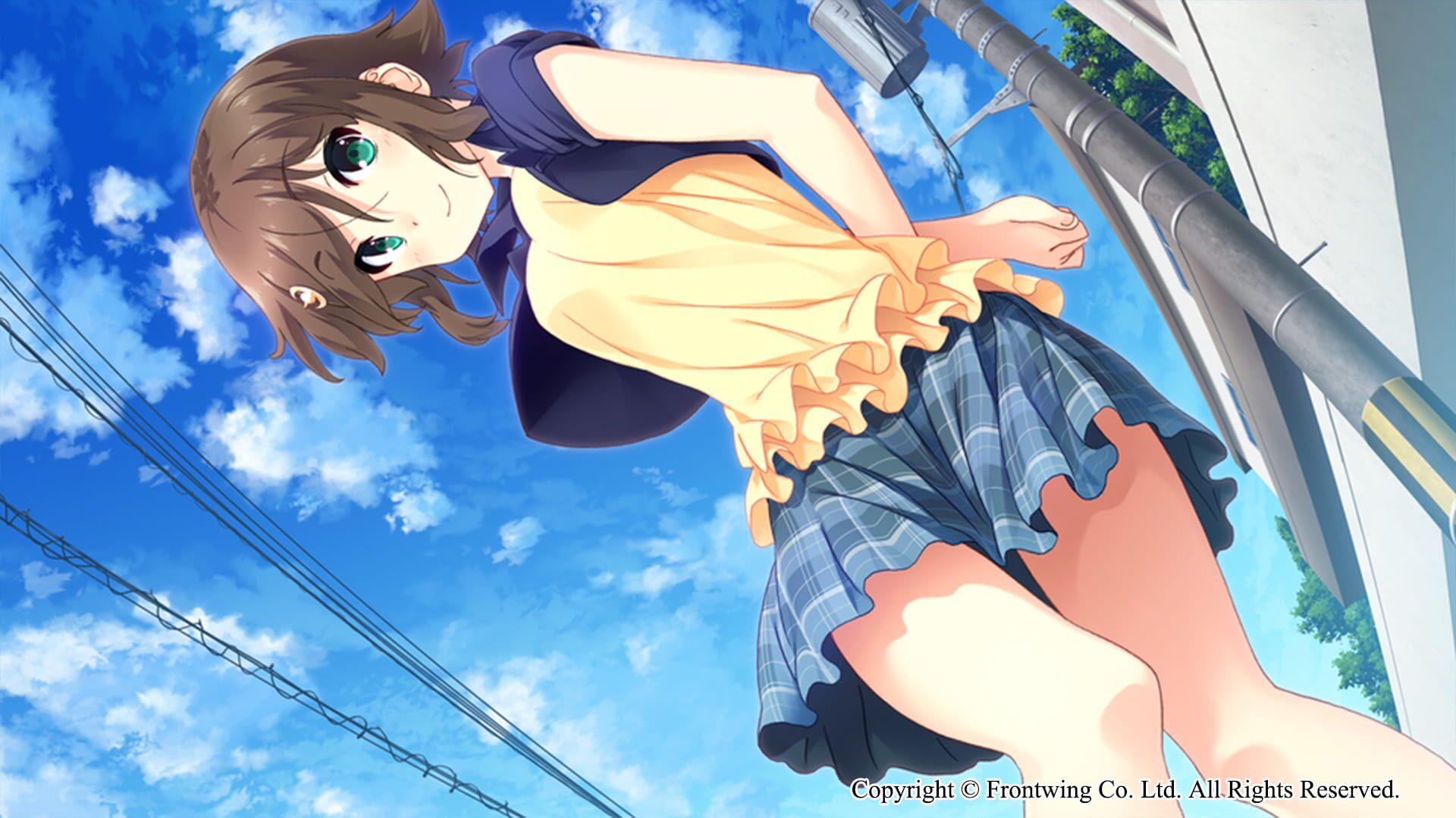 Screenshot for Himawari: The Sunflower