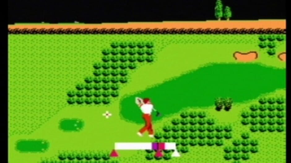 Screenshot for Bandai Golf: Challenge Pebble Beach