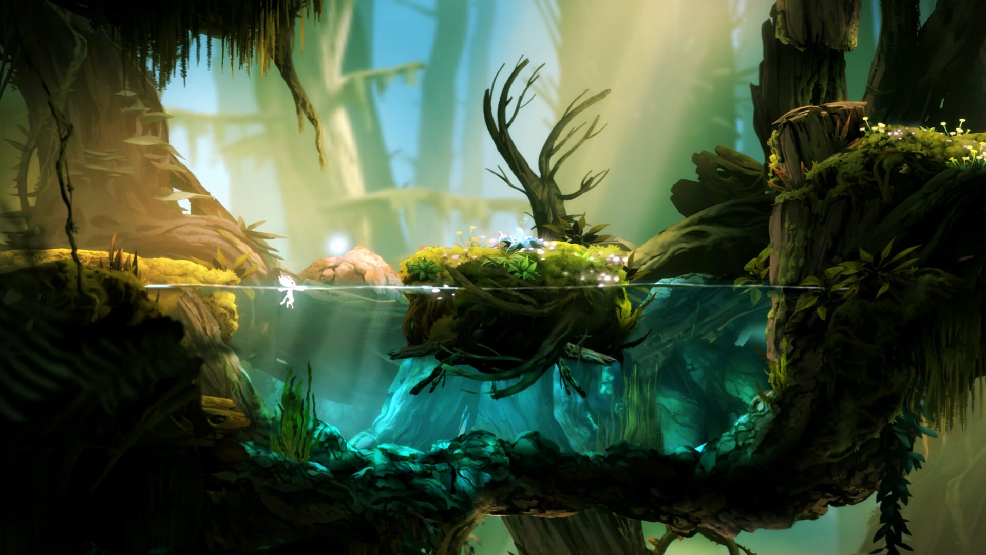 Screenshot for Ori and the Blind Forest