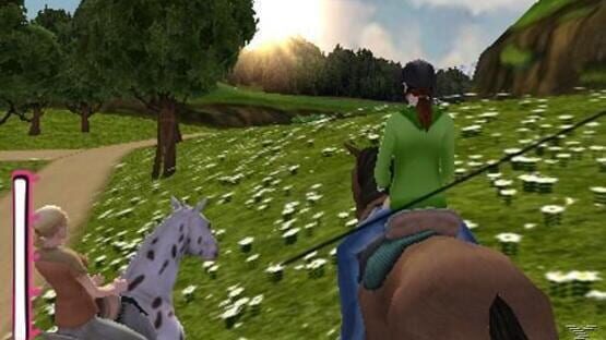 Screenshot for Horse Life 4
