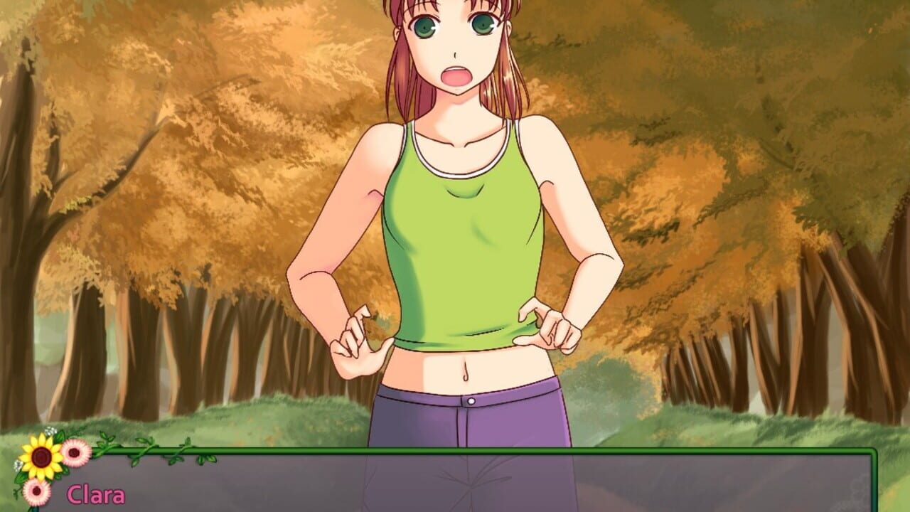 Screenshot for Flower Shop: Summer In Fairbrook