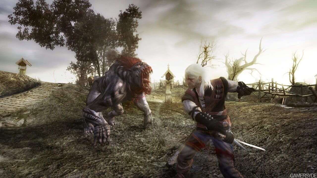 Screenshot for The Witcher