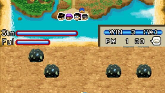 Screenshot for Harvest Moon DS: Island of Happiness