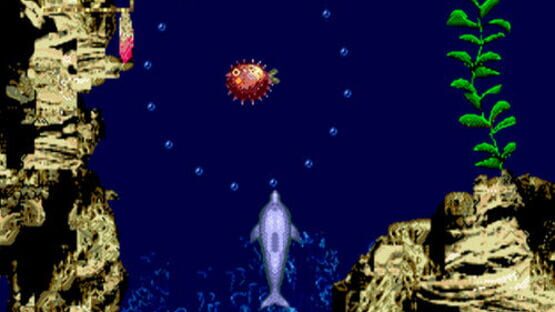 Screenshot for Ecco Jr.