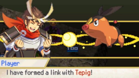 Screenshot for Pokémon Conquest