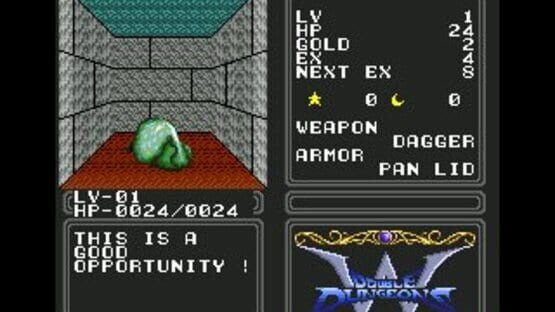 Screenshot for Double Dungeons