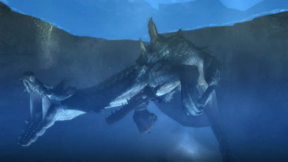 Screenshot for Monster Hunter Tri