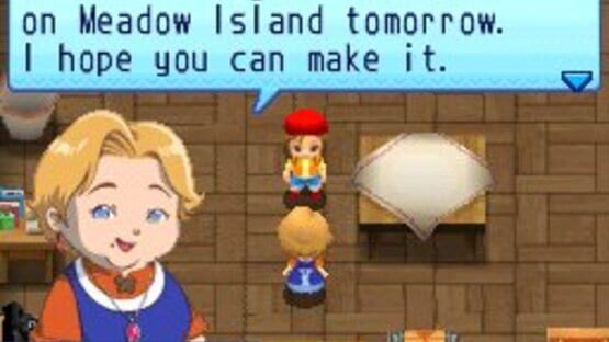 Screenshot for Harvest Moon DS: Sunshine Islands