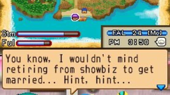 Screenshot for Harvest Moon DS: Island of Happiness
