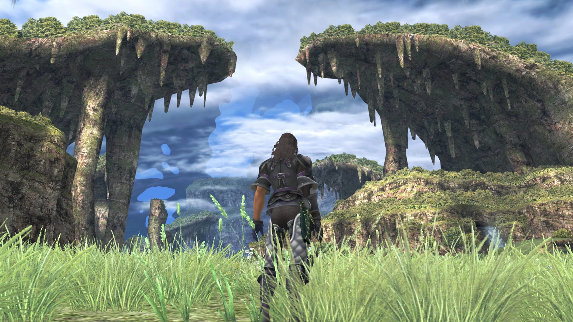 Screenshot for Xenoblade Chronicles