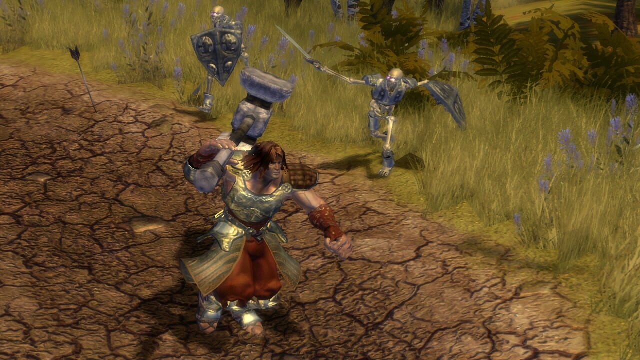 Screenshot for Untold Legends: Dark Kingdom