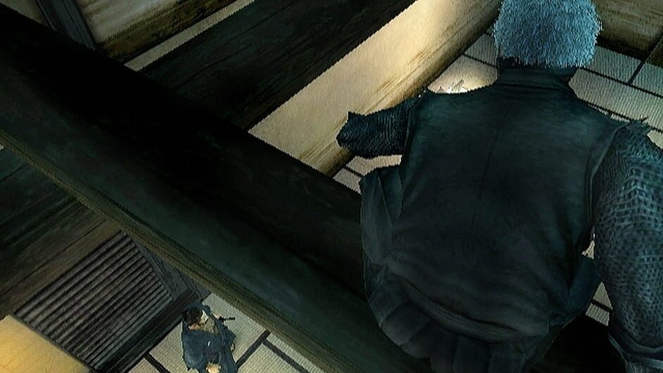 Screenshot for Tenchu: Shadow Assassins