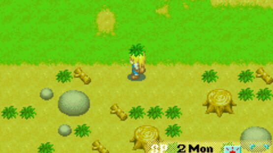 Screenshot for Harvest Moon: More Friends of Mineral Town